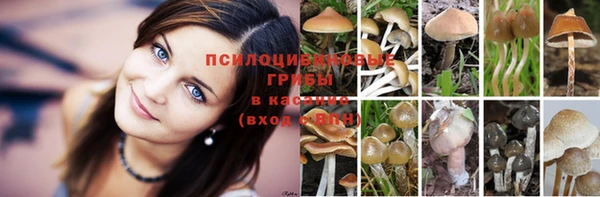 наркотики Осинники